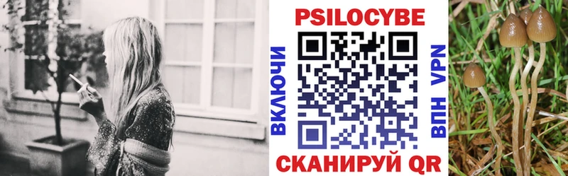 Псилоцибиновые грибы прущие грибы  Сысерть 